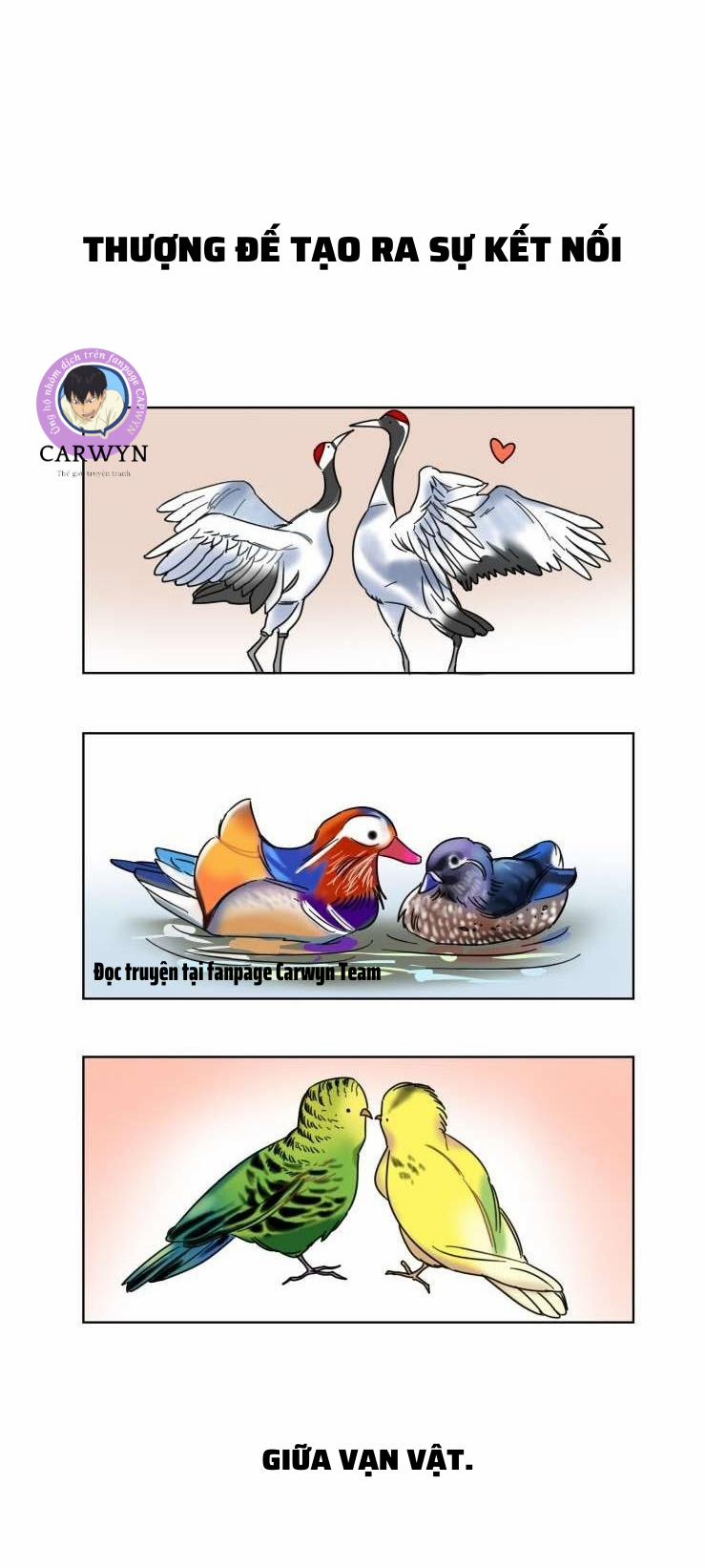 Keeper Of The Pearl 0.5 trang 1