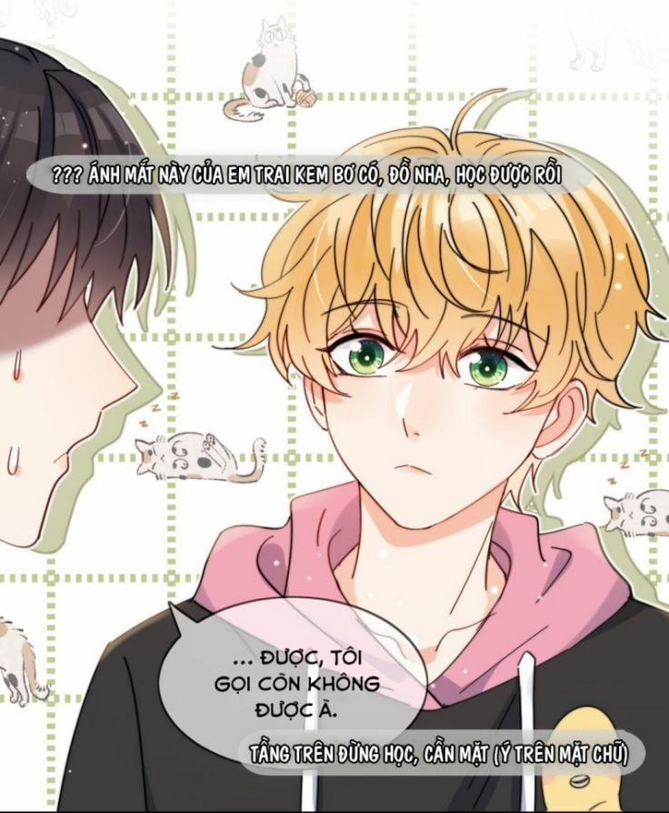 Kem Bơ Chất Lượng Kém 10 trang 13