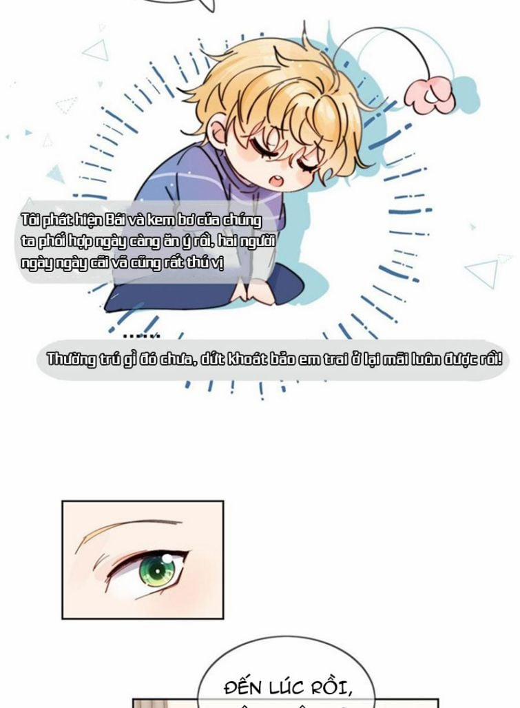 Kem Bơ Chất Lượng Kém 14 trang 20