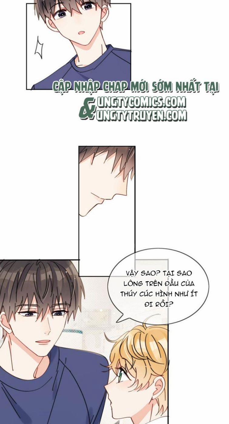 Kem Bơ Chất Lượng Kém 14 trang 7