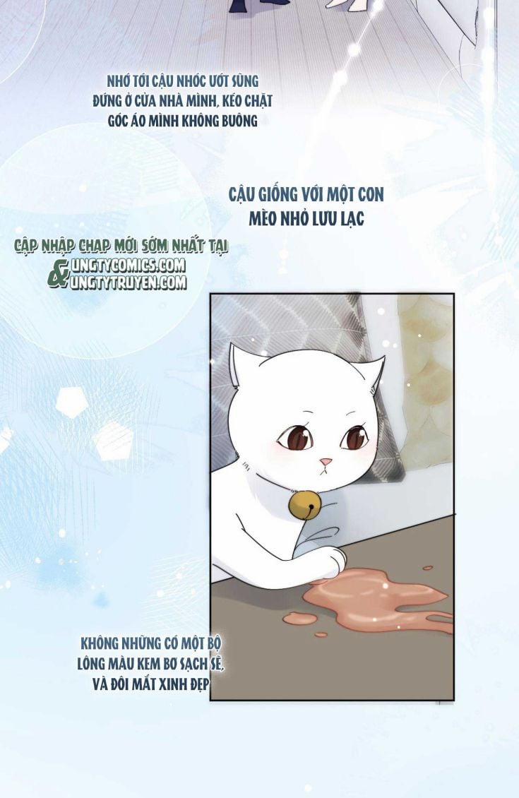 Kem Bơ Chất Lượng Kém 16 trang 19