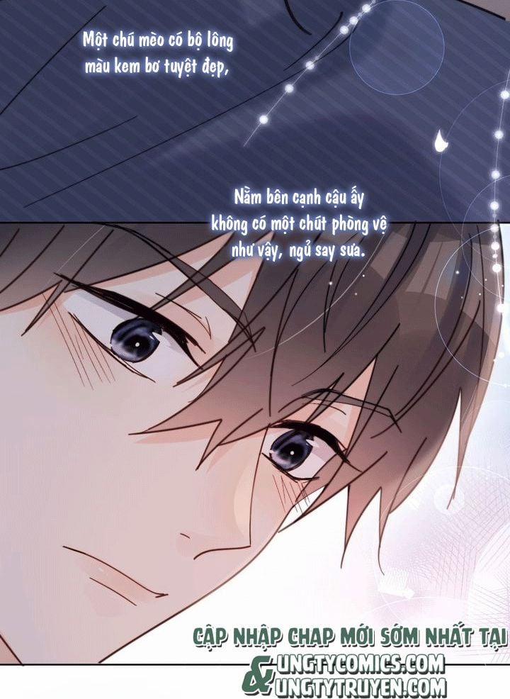 Kem Bơ Chất Lượng Kém 17 trang 33