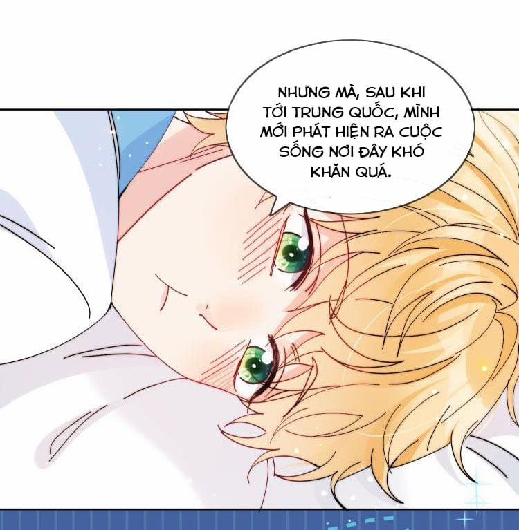 Kem Bơ Chất Lượng Kém 3 trang 6