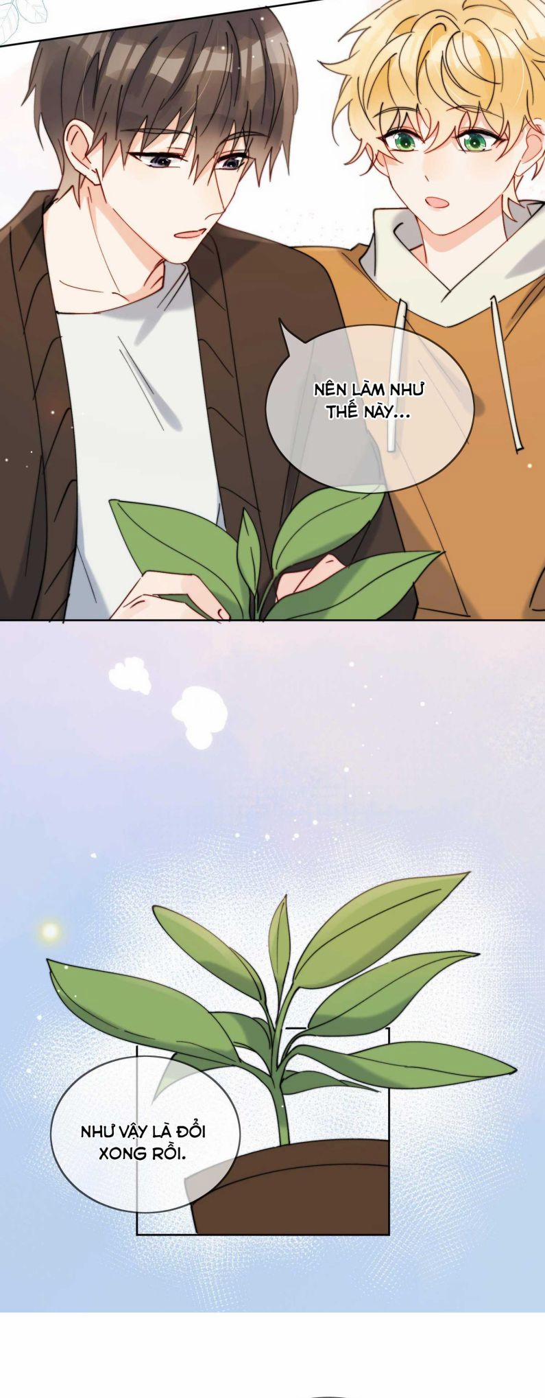 Kem Bơ Chất Lượng Kém 30 trang 11