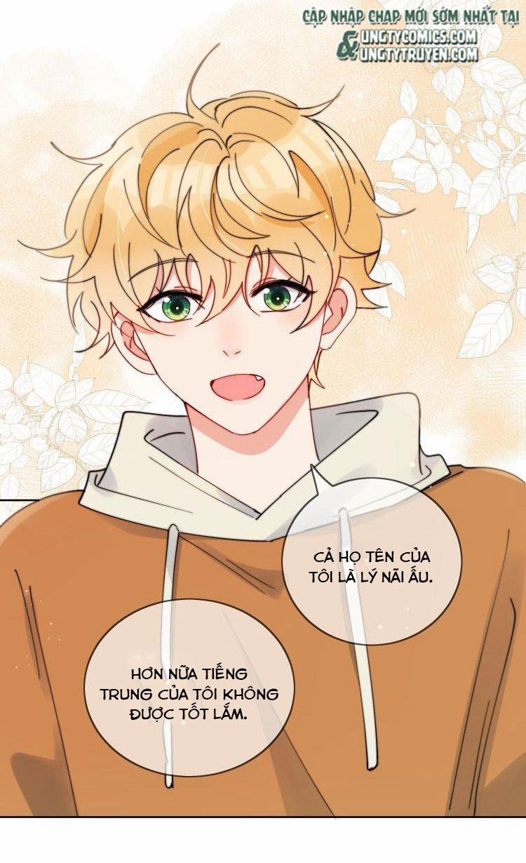 Kem Bơ Chất Lượng Kém 31 trang 8