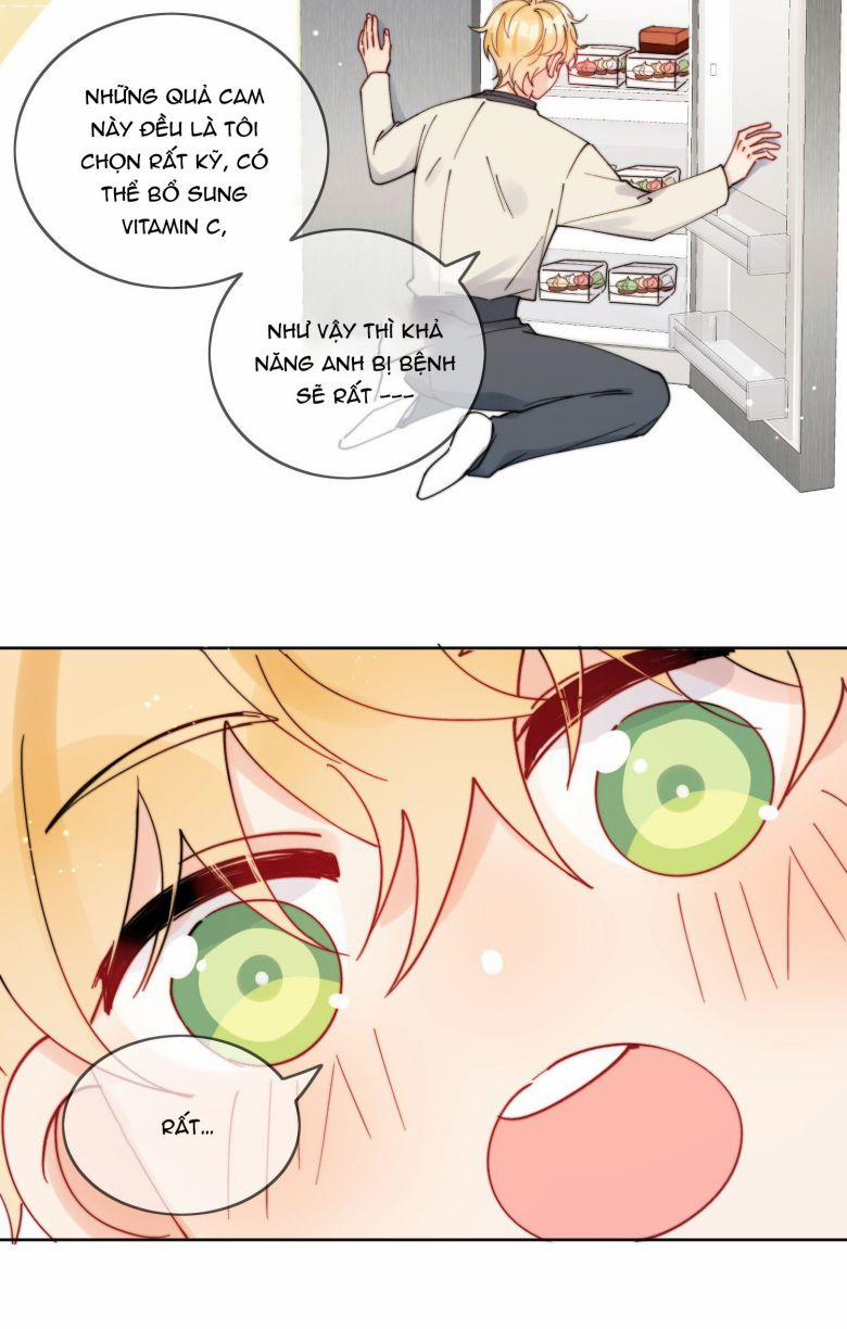 Kem Bơ Chất Lượng Kém 32 trang 33