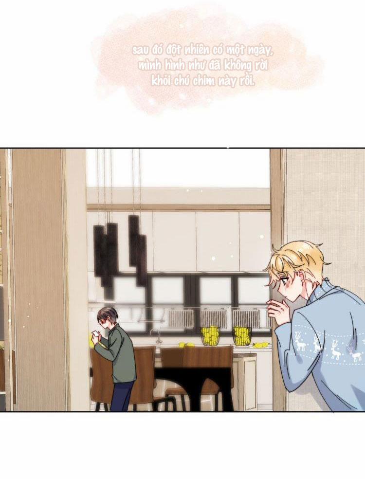 Kem Bơ Chất Lượng Kém 36 trang 13