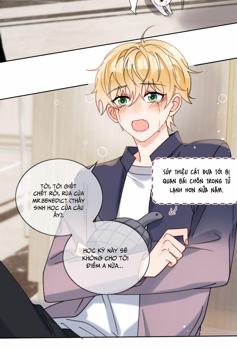 Kem Bơ Chất Lượng Kém 37 trang 15