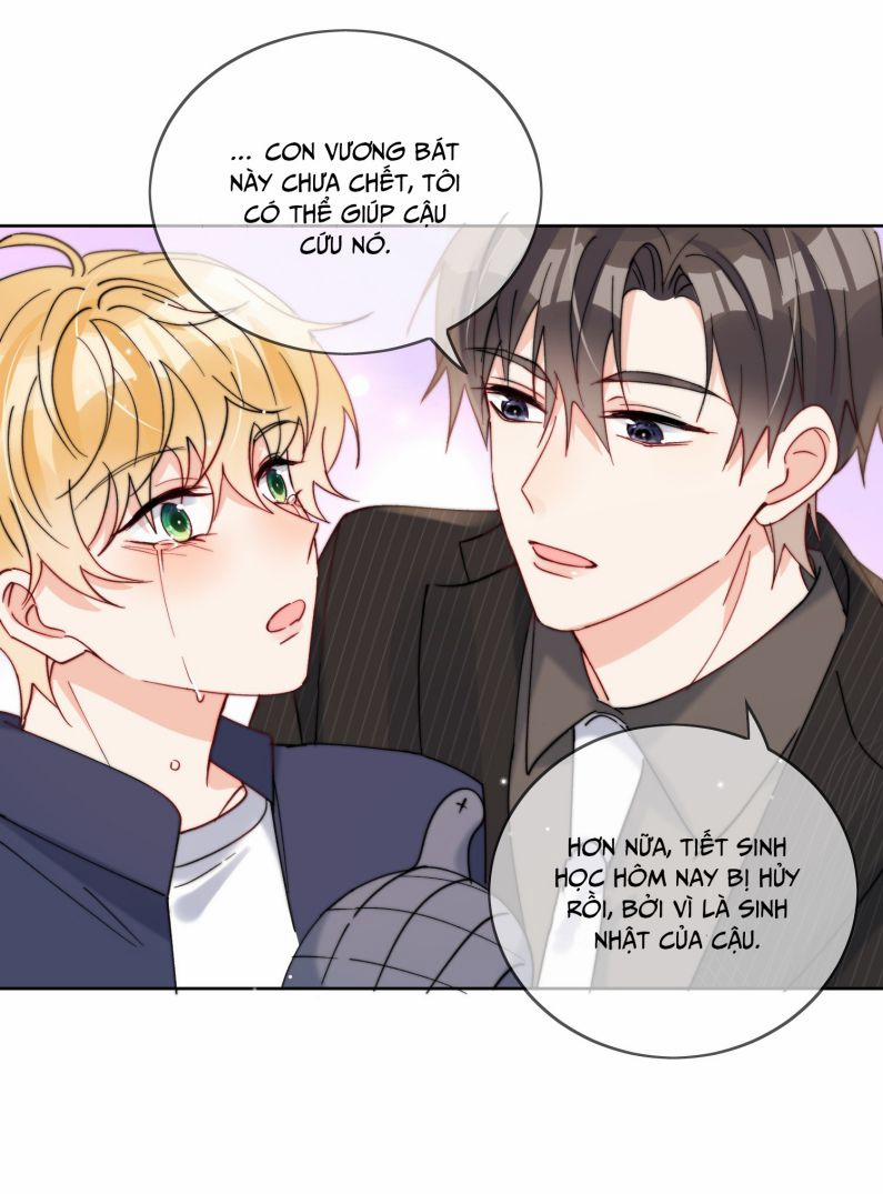 Kem Bơ Chất Lượng Kém 37 trang 17