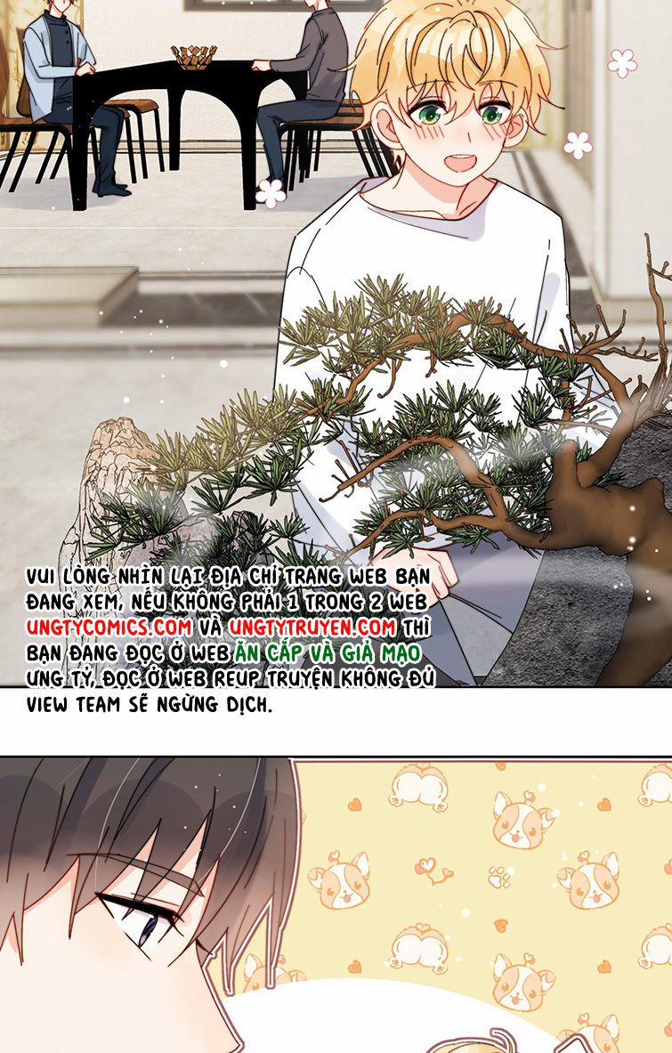 Kem Bơ Chất Lượng Kém 39 trang 19