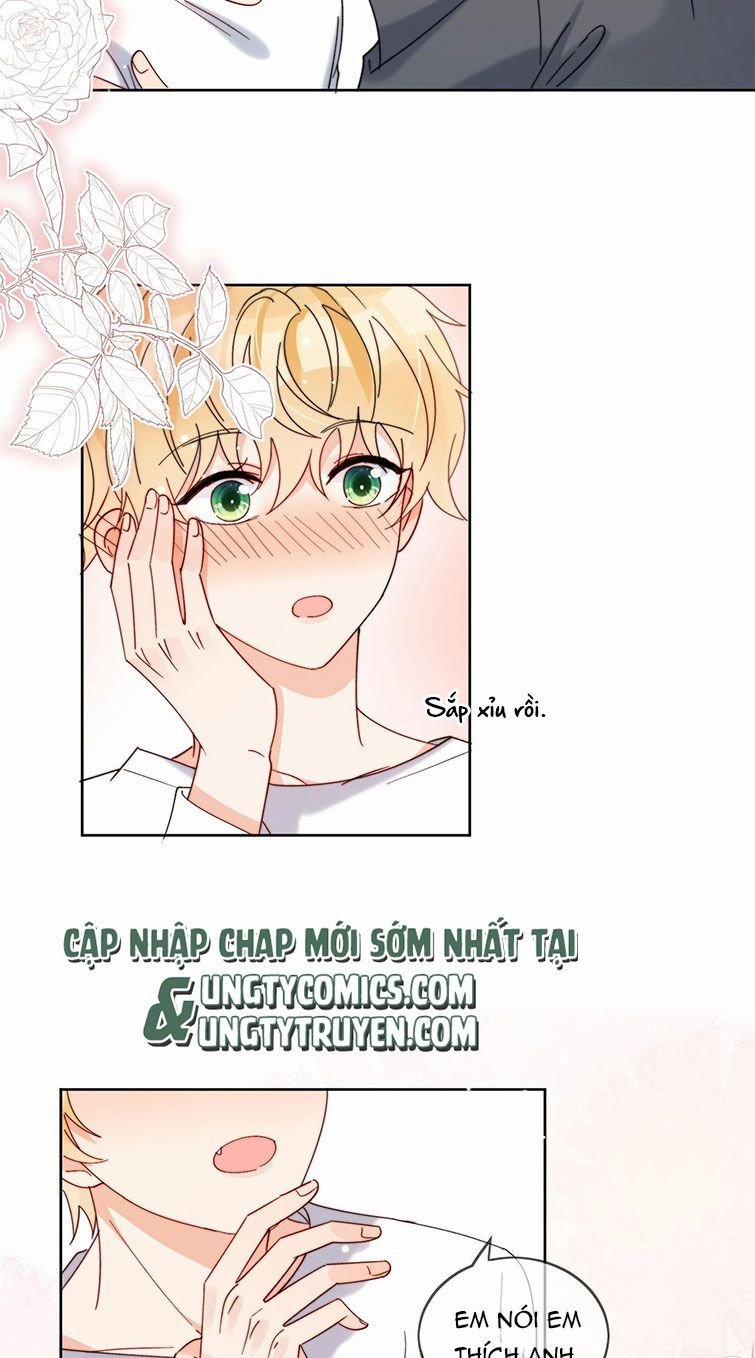 Kem Bơ Chất Lượng Kém 40 trang 19