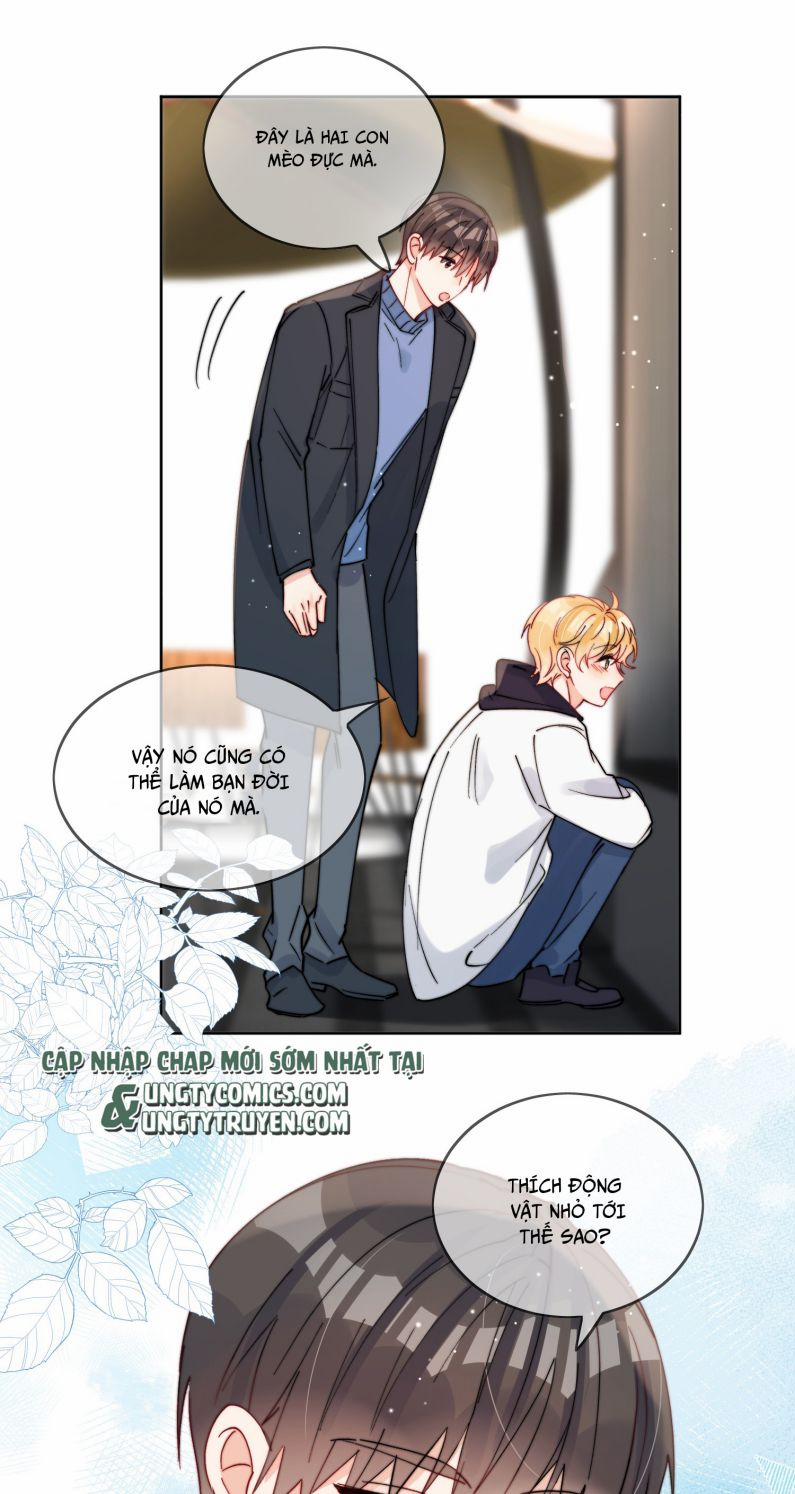 Kem Bơ Chất Lượng Kém 43 trang 10