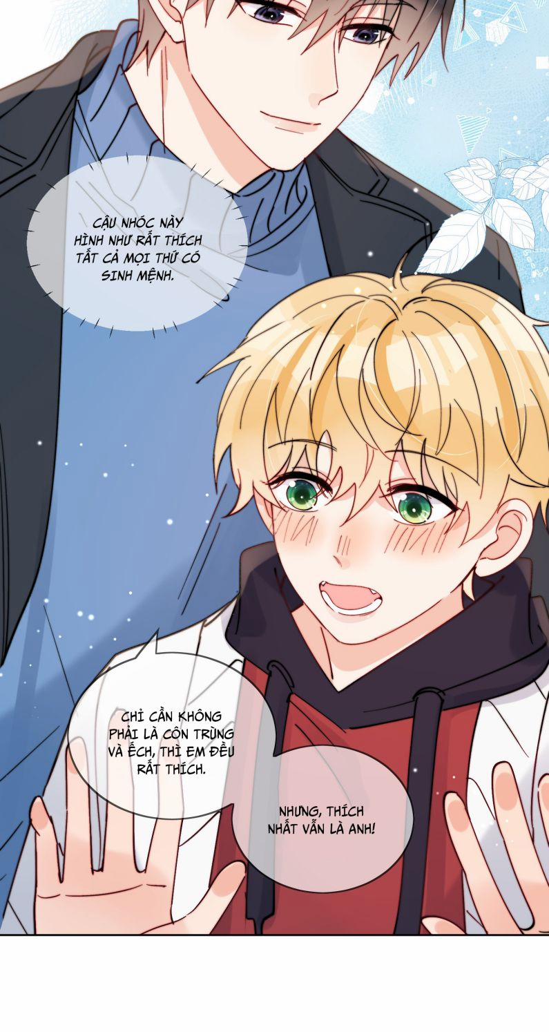 Kem Bơ Chất Lượng Kém 43 trang 11