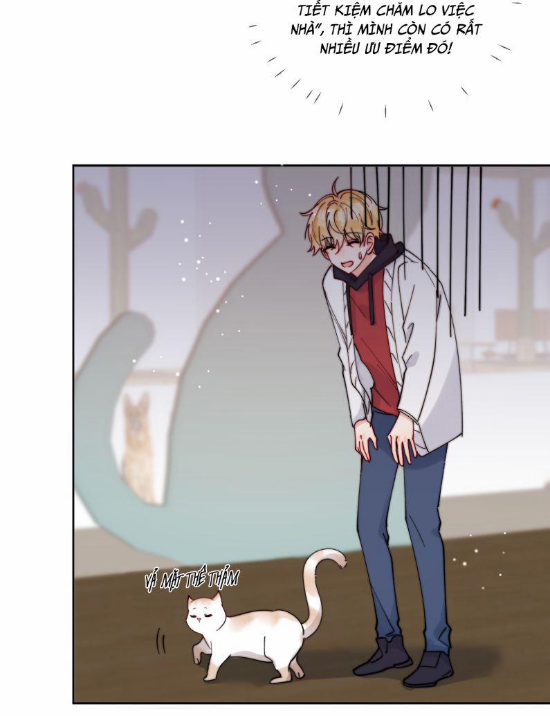 Kem Bơ Chất Lượng Kém 43 trang 15