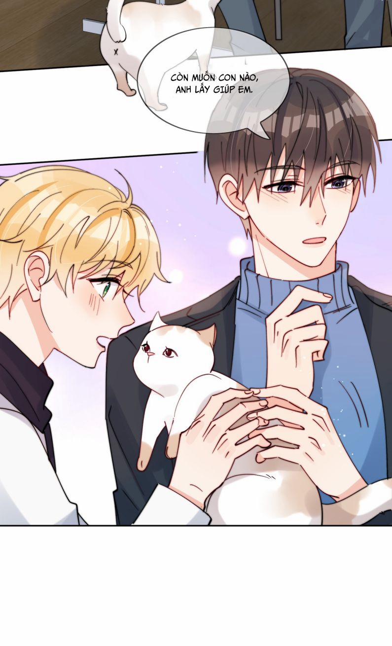 Kem Bơ Chất Lượng Kém 43 trang 17