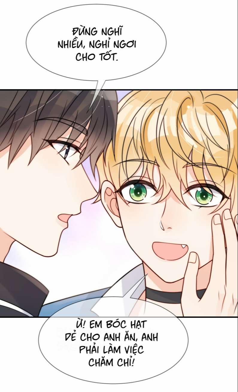 Kem Bơ Chất Lượng Kém 49 trang 26