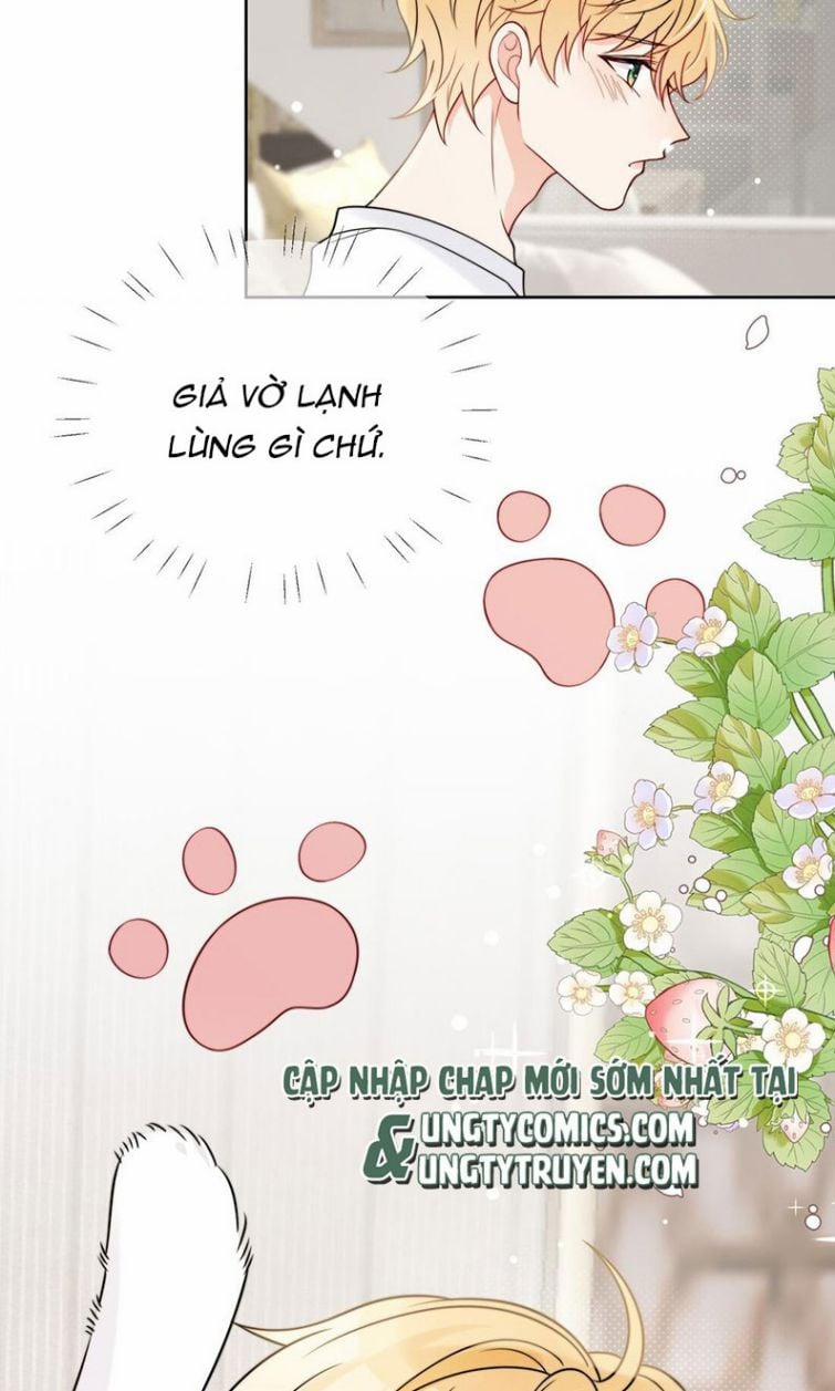 Kem Bơ Chất Lượng Kém 6 trang 35