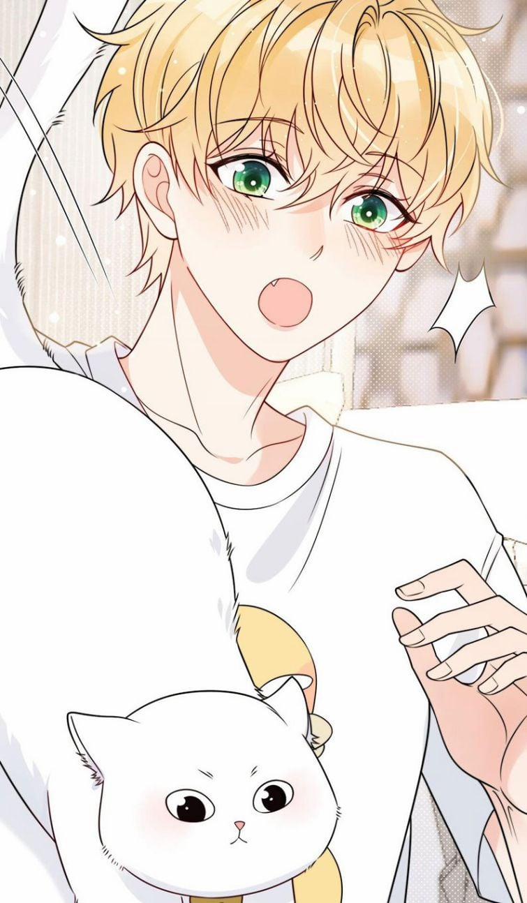 Kem Bơ Chất Lượng Kém 6 trang 36