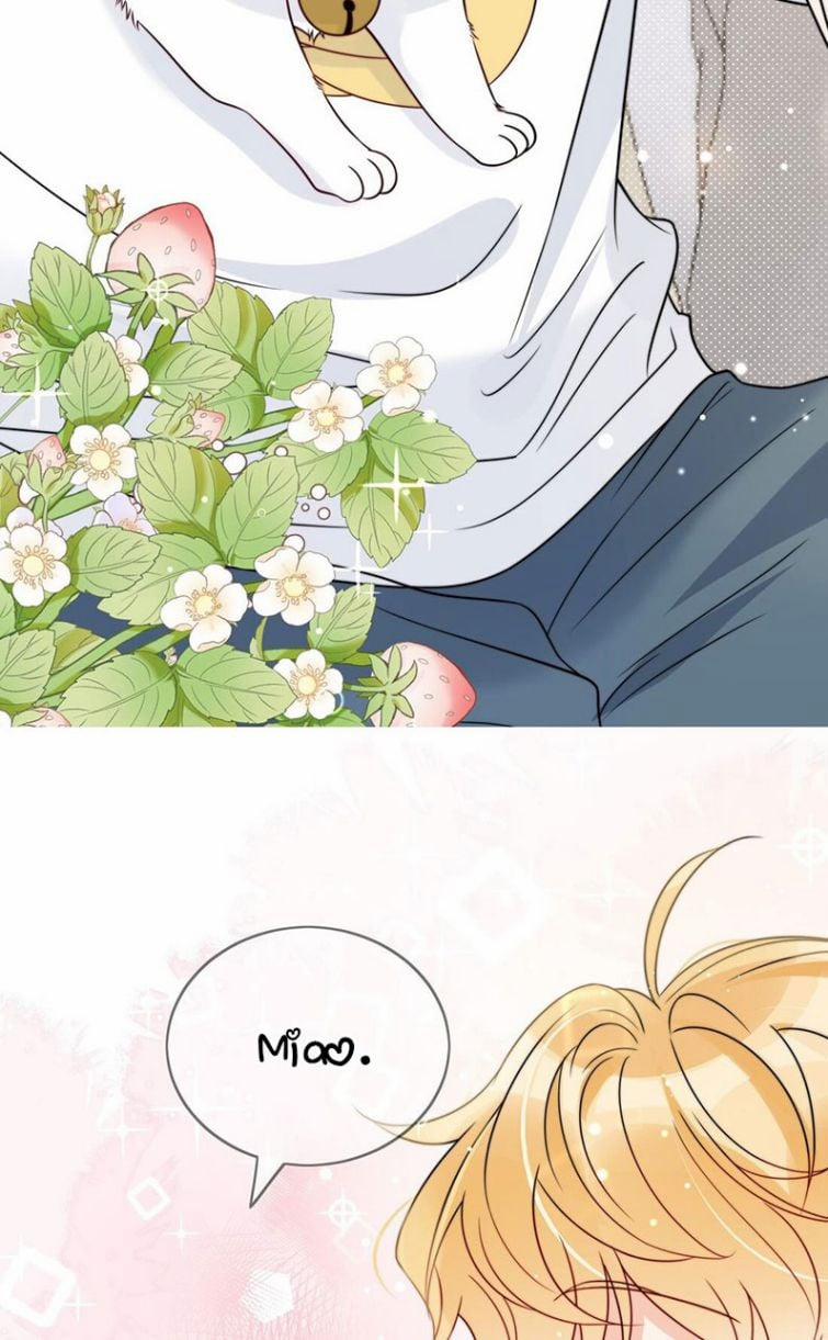 Kem Bơ Chất Lượng Kém 6 trang 37