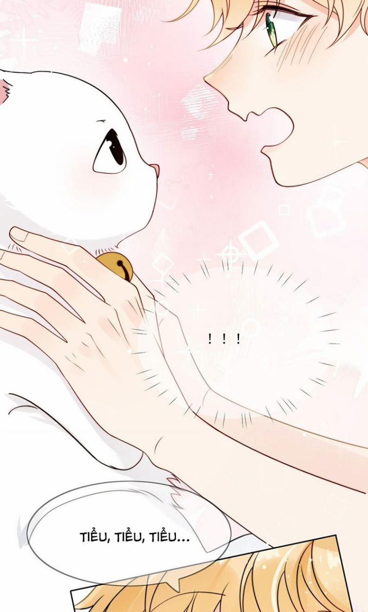 Kem Bơ Chất Lượng Kém 6 trang 38