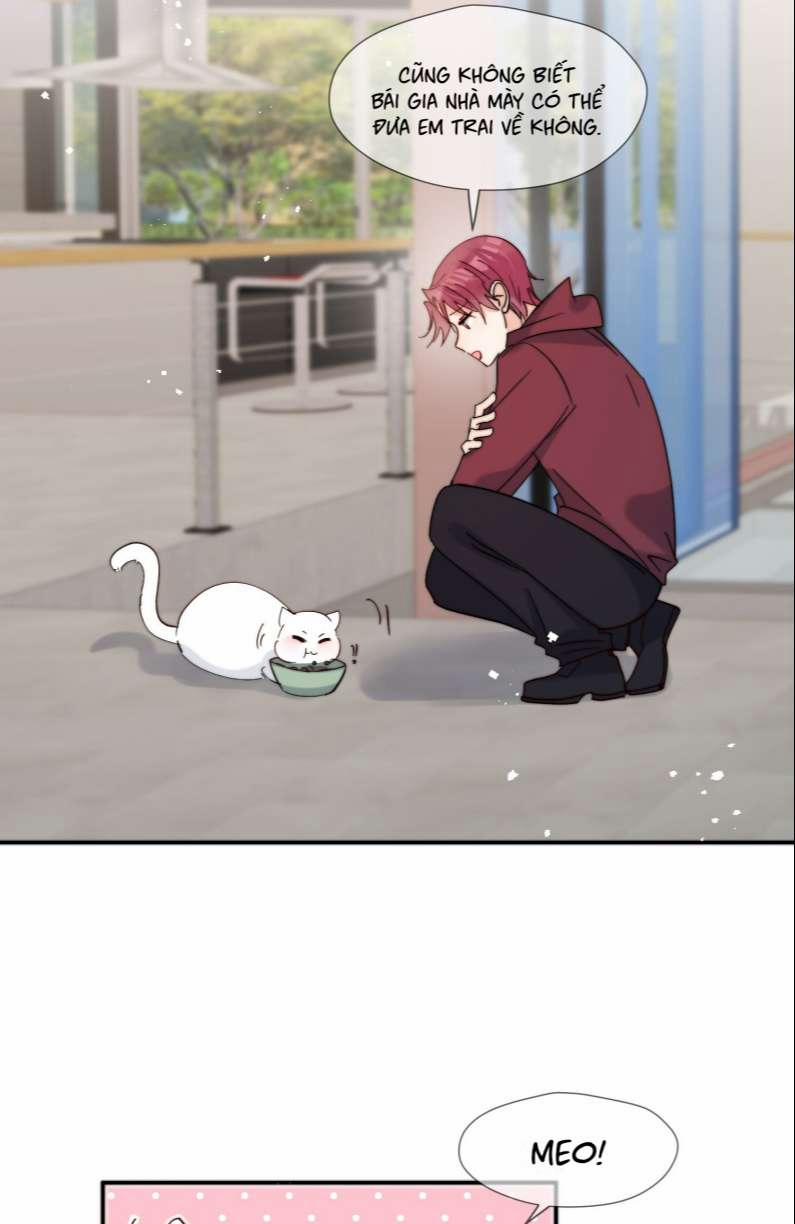 Kem Bơ Chất Lượng Kém 60 trang 2