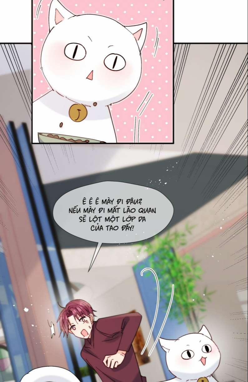 Kem Bơ Chất Lượng Kém 60 trang 3