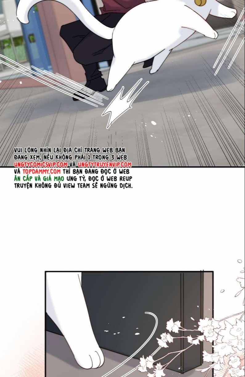 Kem Bơ Chất Lượng Kém 60 trang 4