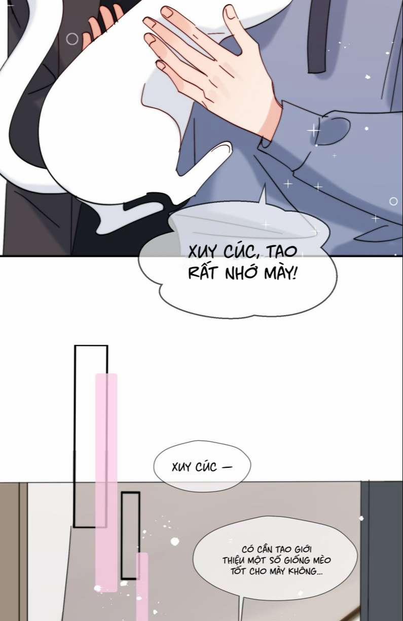 Kem Bơ Chất Lượng Kém 60 trang 6