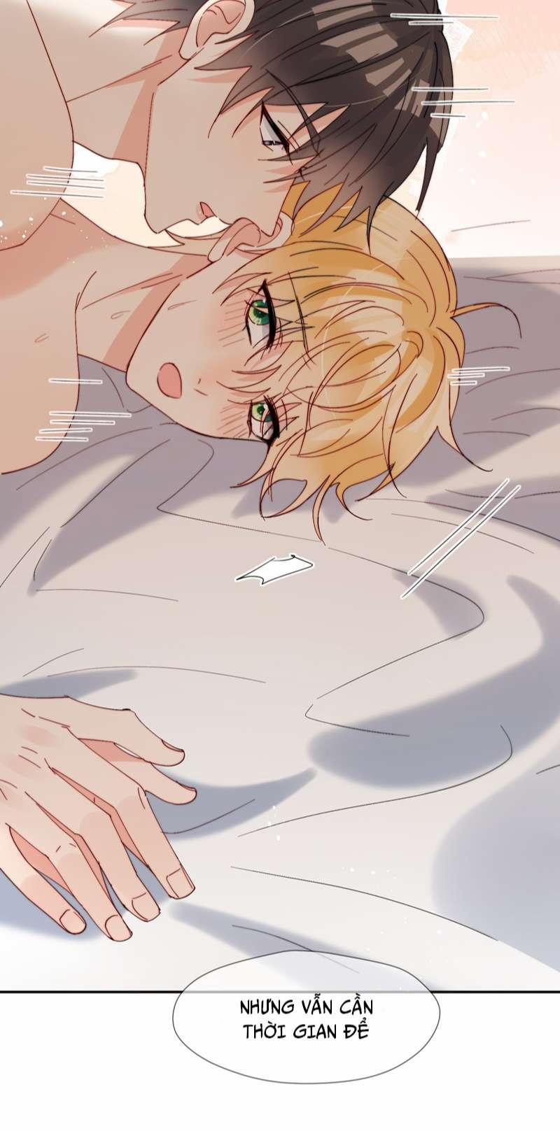 Kem Bơ Chất Lượng Kém 61 trang 18