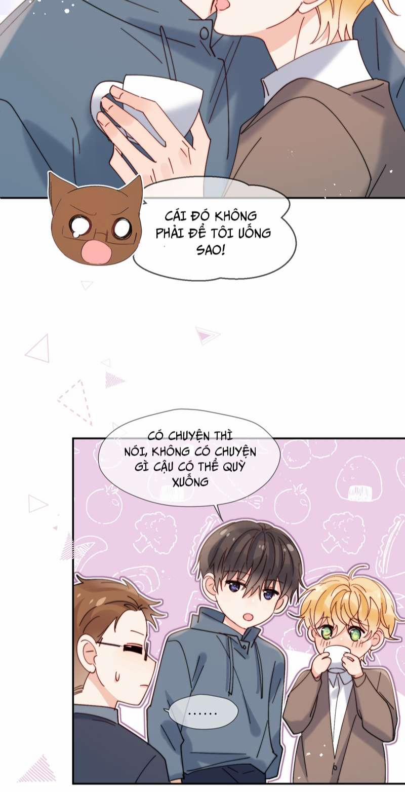 Kem Bơ Chất Lượng Kém 61 trang 31