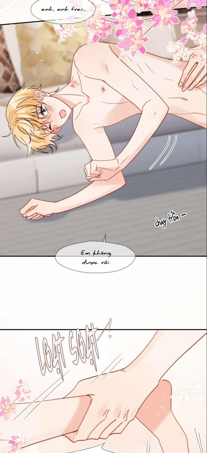 Kem Bơ Chất Lượng Kém 67 trang 5