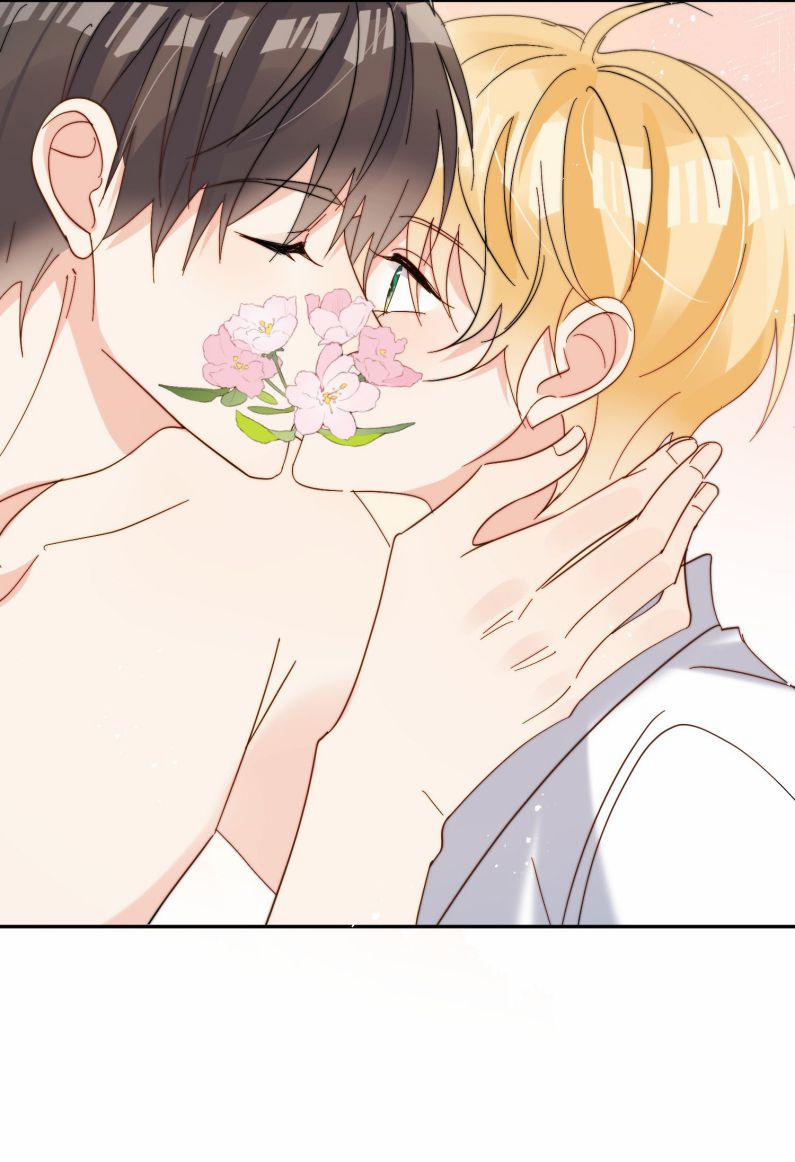 Kem Bơ Chất Lượng Kém 69 trang 17