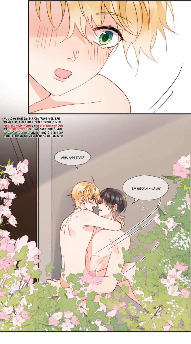 Kem Bơ Chất Lượng Kém 69 trang 25