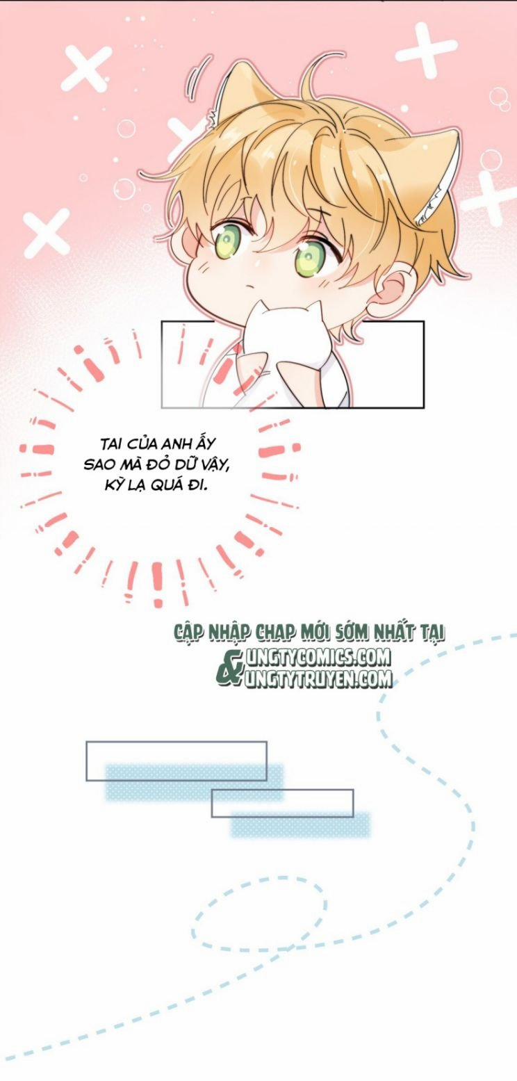 Kem Bơ Chất Lượng Kém 7 trang 10