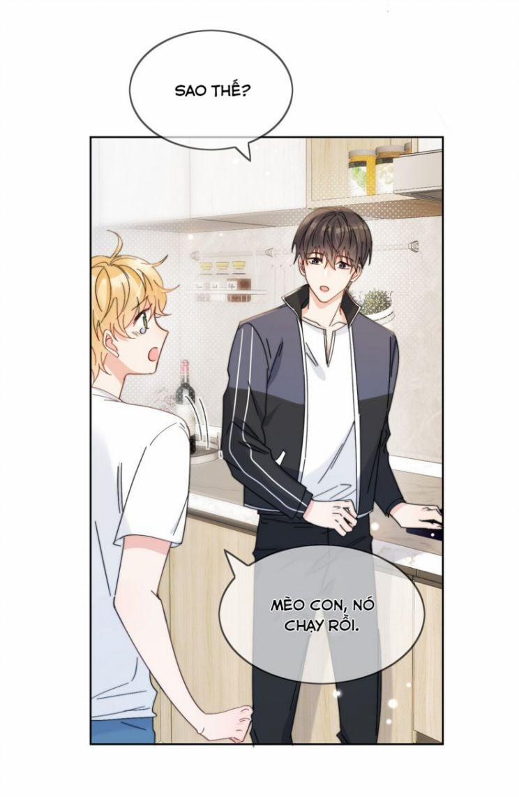 Kem Bơ Chất Lượng Kém 7 trang 13