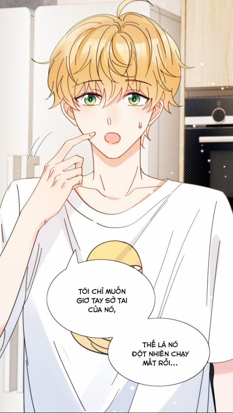 Kem Bơ Chất Lượng Kém 7 trang 14