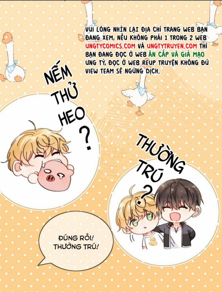 Kem Bơ Chất Lượng Kém 7 trang 19