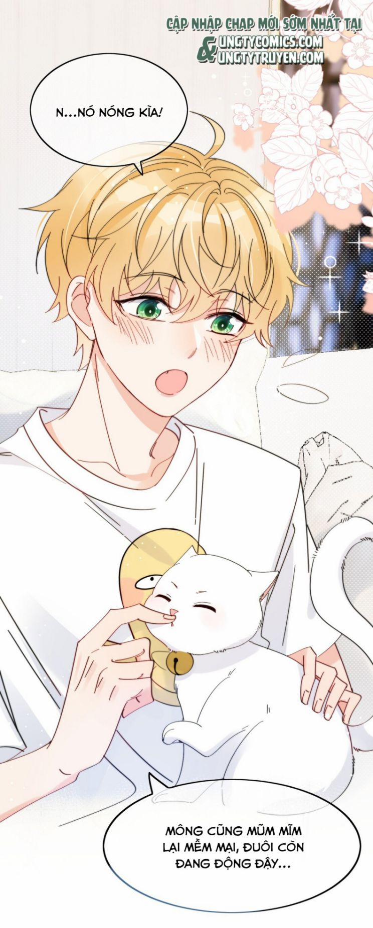 Kem Bơ Chất Lượng Kém 7 trang 2