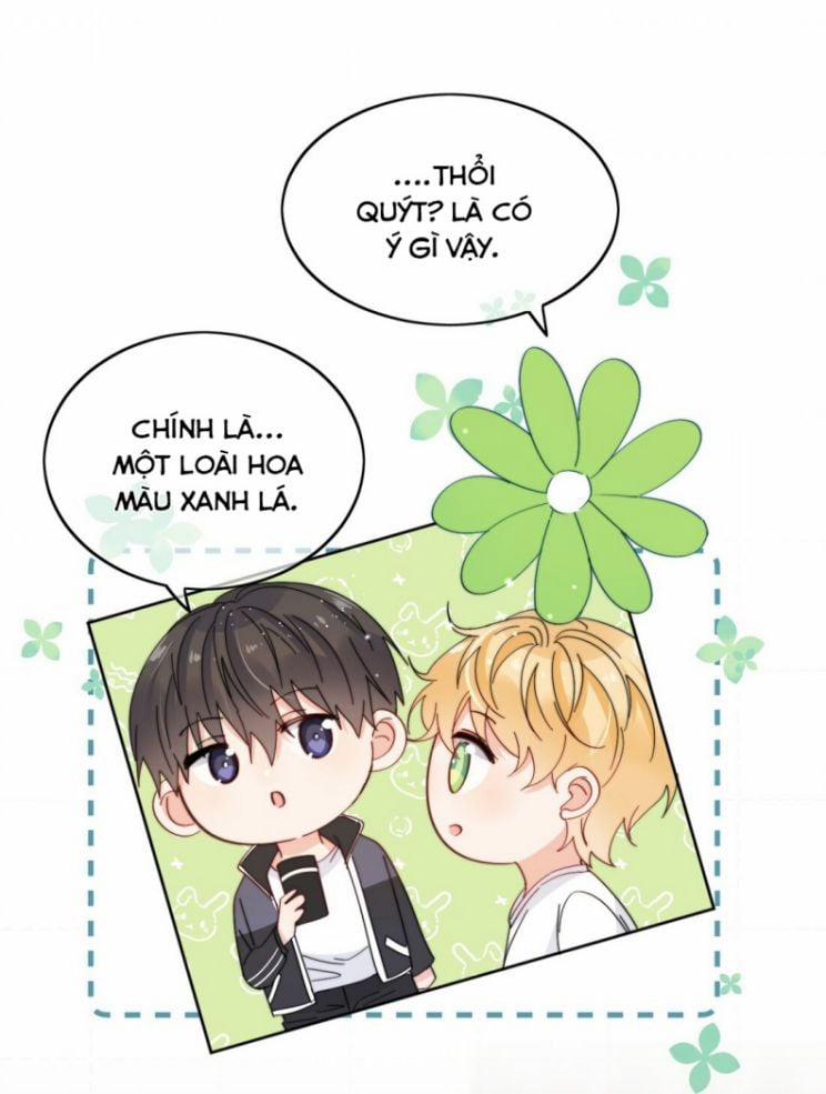 Kem Bơ Chất Lượng Kém 7 trang 5