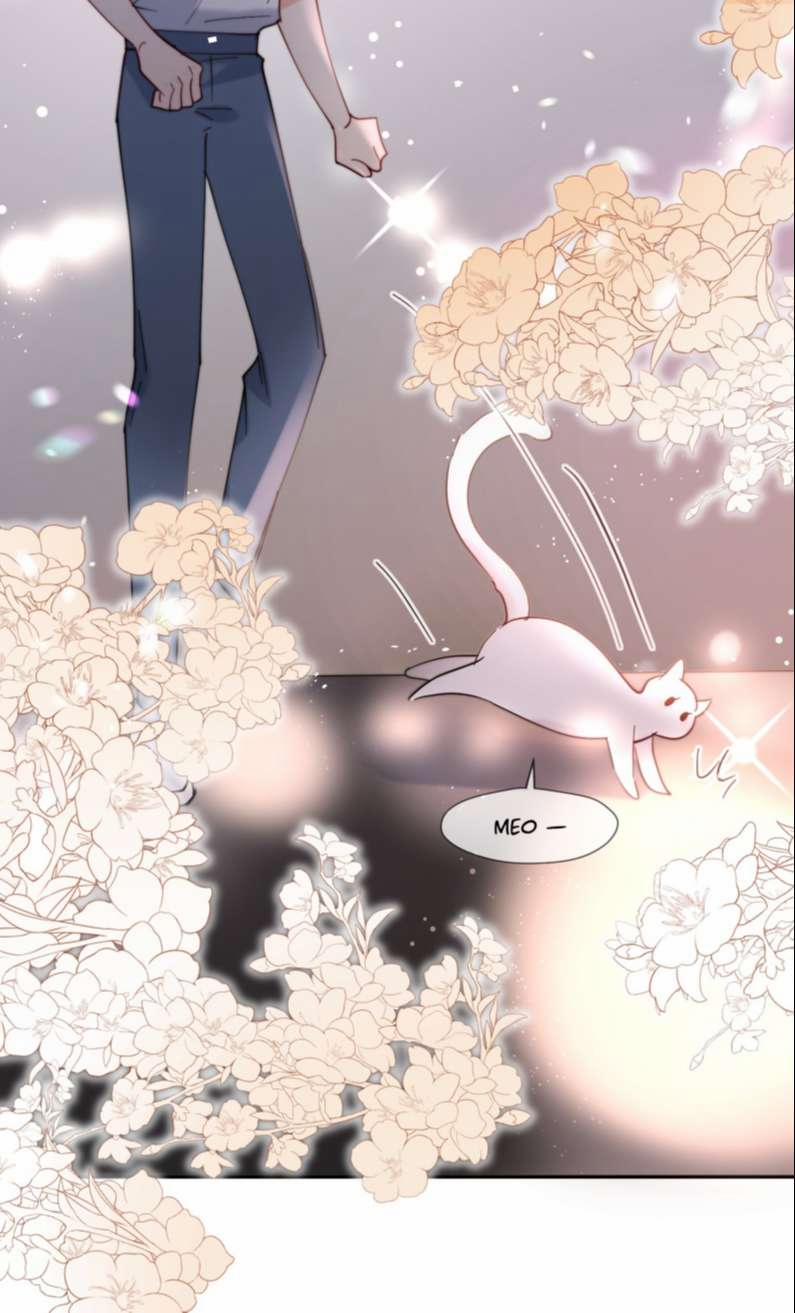 Kem Bơ Chất Lượng Kém 70 trang 19