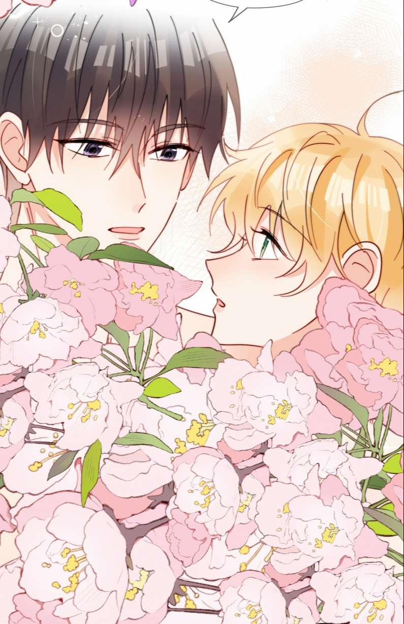 Kem Bơ Chất Lượng Kém 70 trang 4