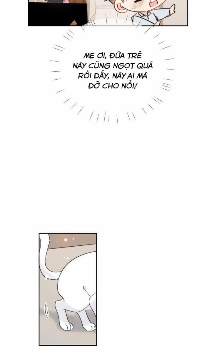 Kem Bơ Chất Lượng Kém 9 trang 11