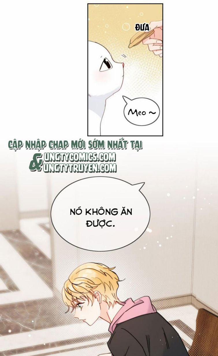 Kem Bơ Chất Lượng Kém 9 trang 12