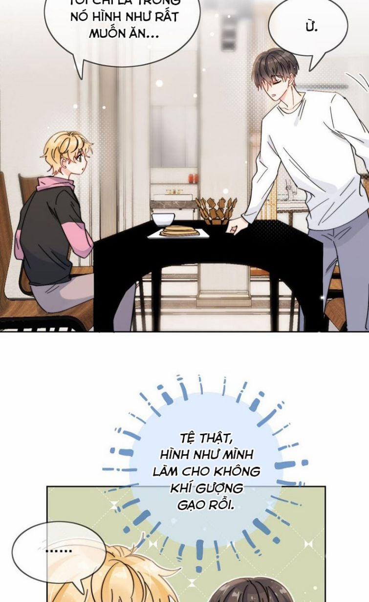 Kem Bơ Chất Lượng Kém 9 trang 15