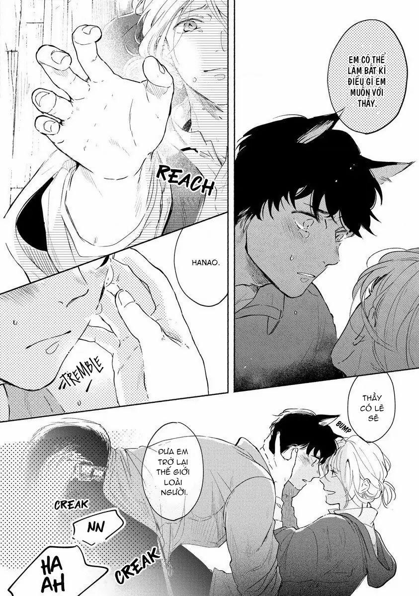 Kemono No Noroi Wa Koi De Hodoku 2 trang 25