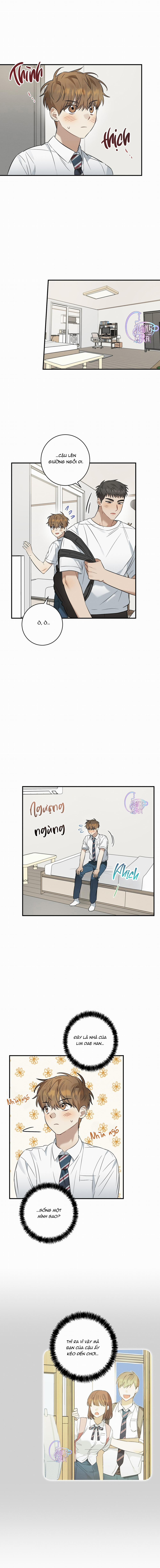 Kẹo Mận Tình Yêu 18 trang 8