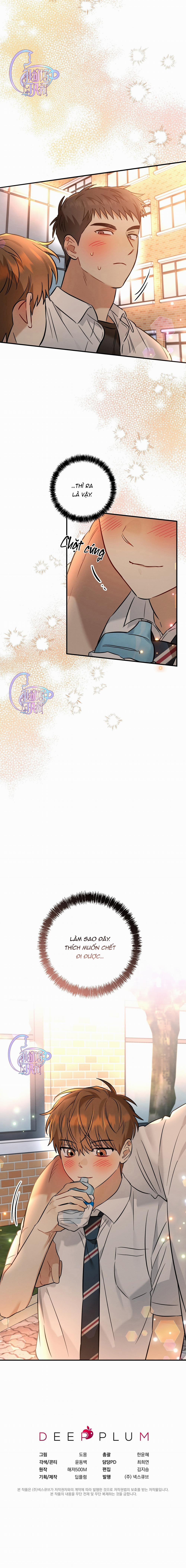 Kẹo Mận Tình Yêu 21 trang 10