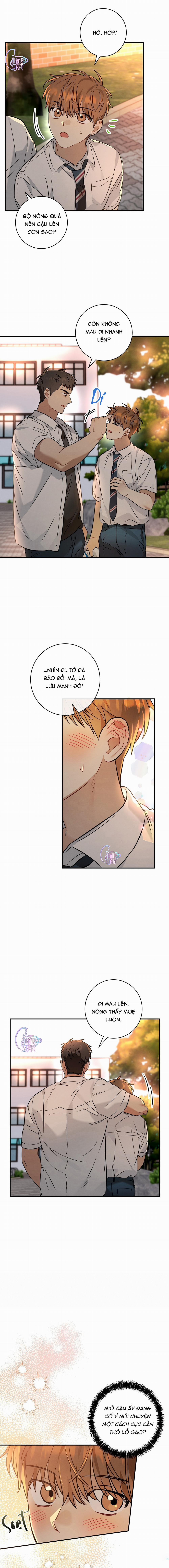 Kẹo Mận Tình Yêu 21 trang 9