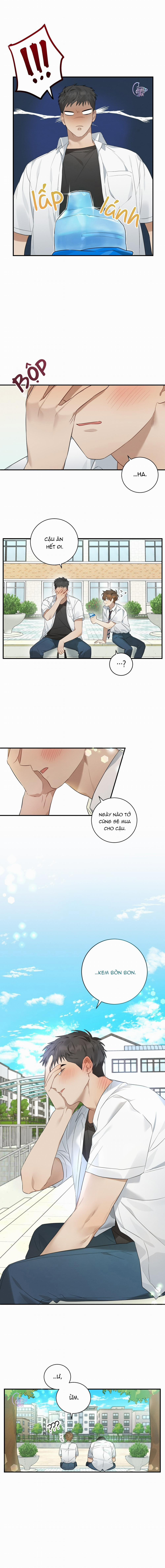 Kẹo Mận Tình Yêu 3 trang 8