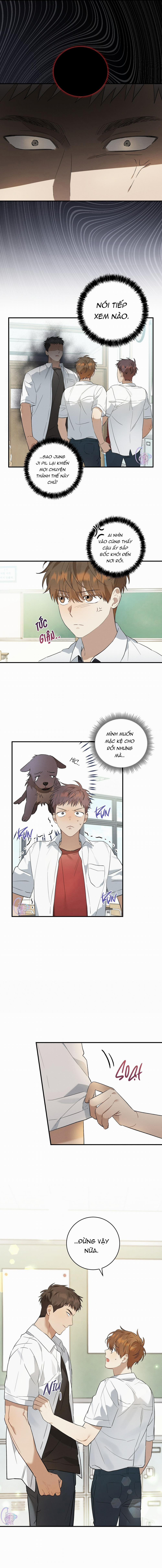 Kẹo Mận Tình Yêu 6 trang 11